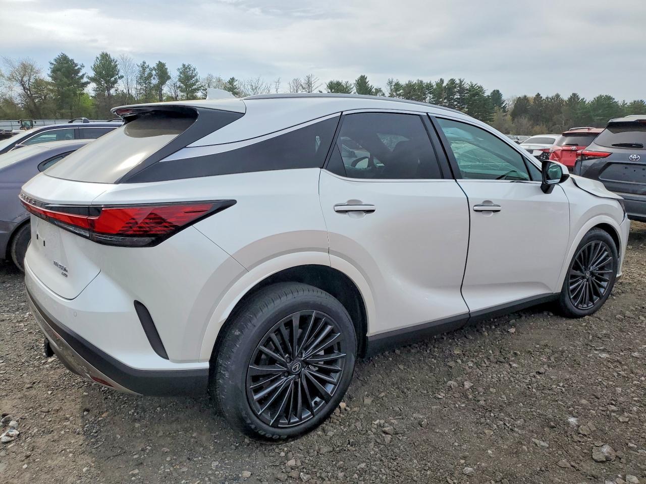 Lexus RX Premium