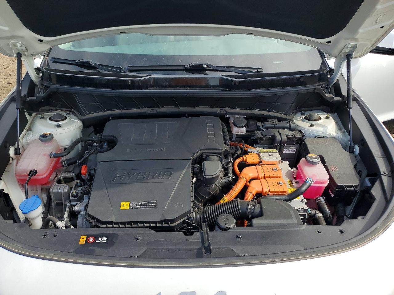 Kia Niro Ex