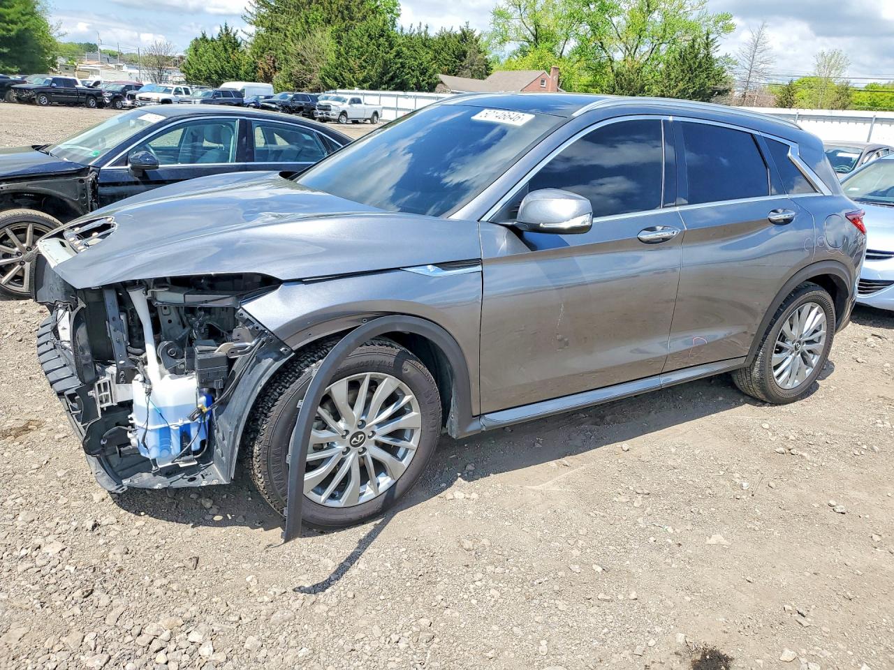 Salvage INFINITI Qx Image