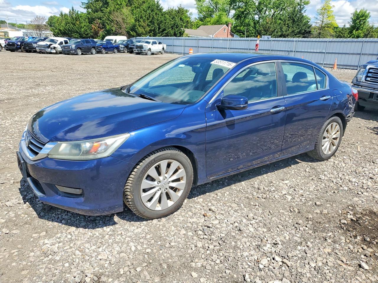Salvage Honda Accord Image