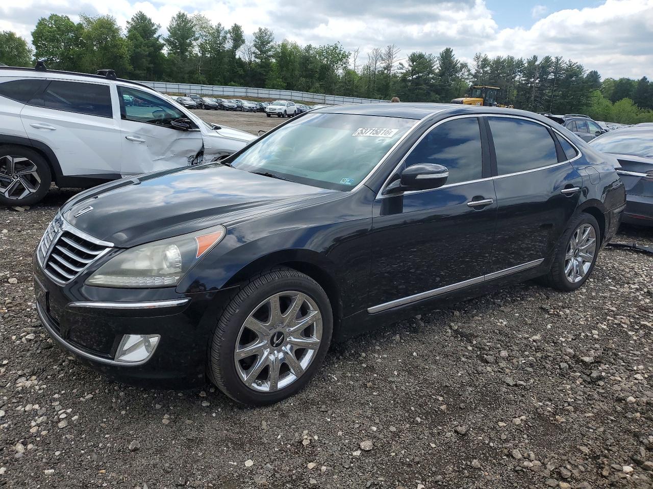 Salvage Hyundai Equus Image