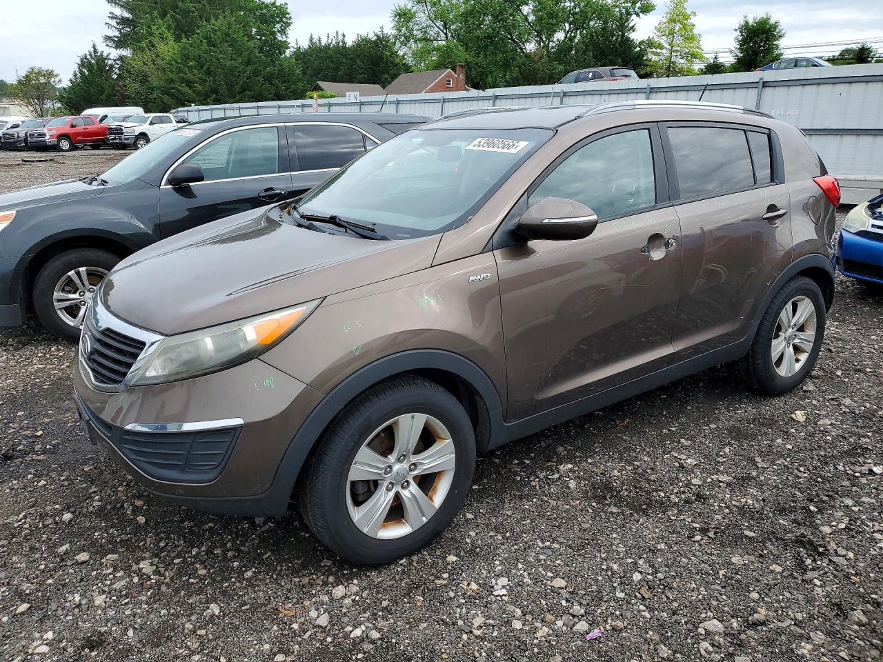Salvage Kia Sportage Image