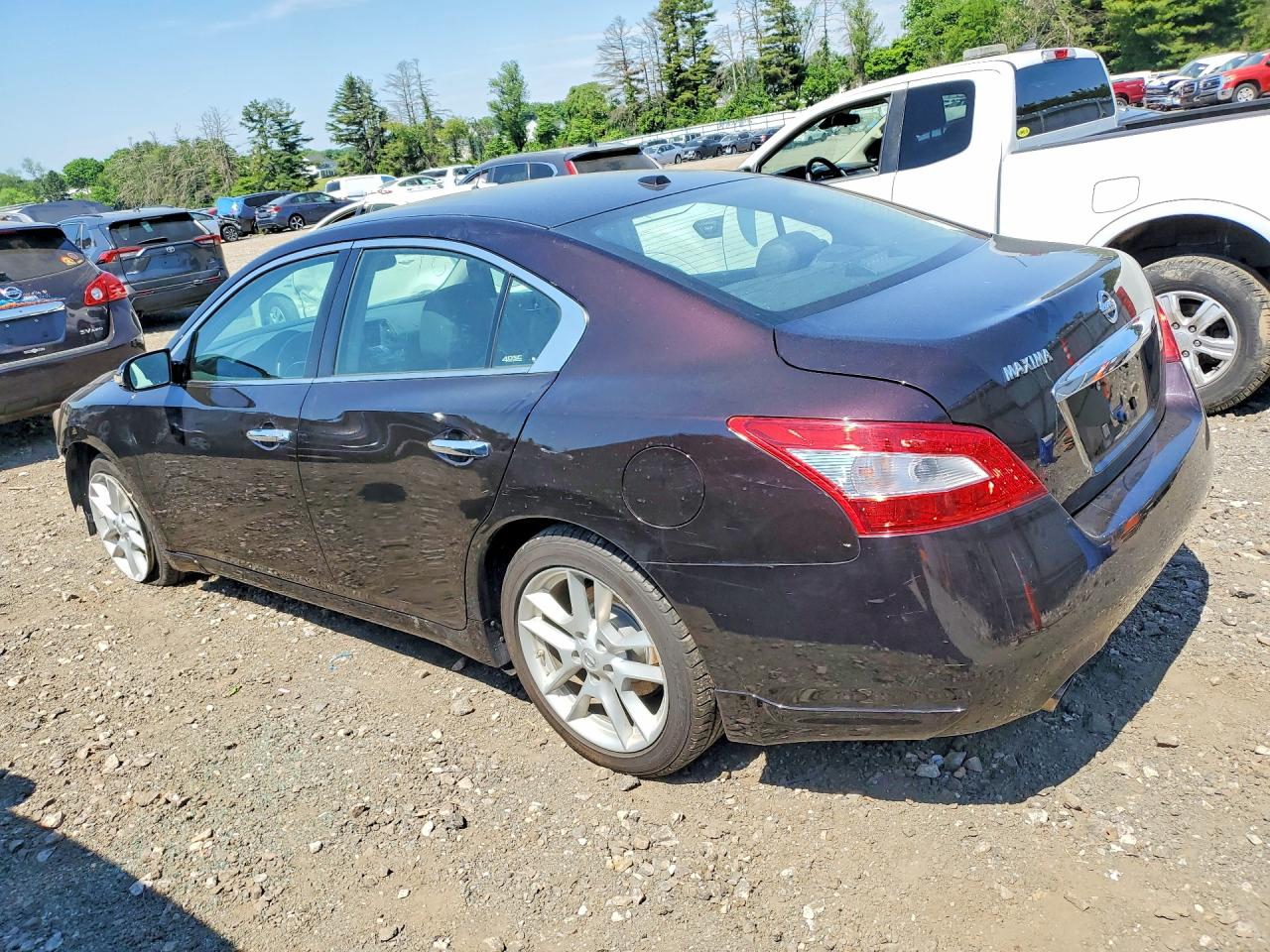Nissan Maxima 3.5 S