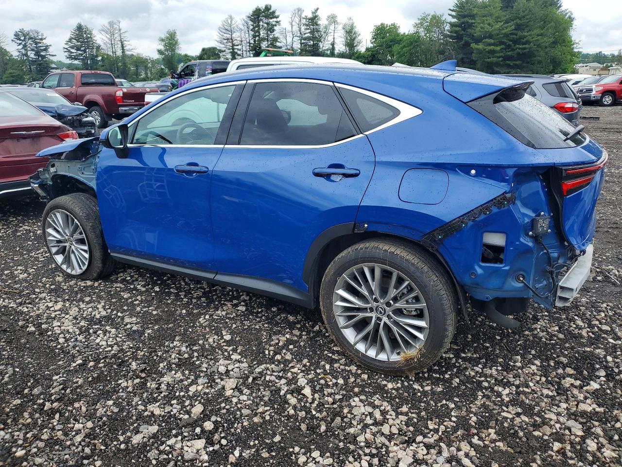 Lexus NX 350 Luxury