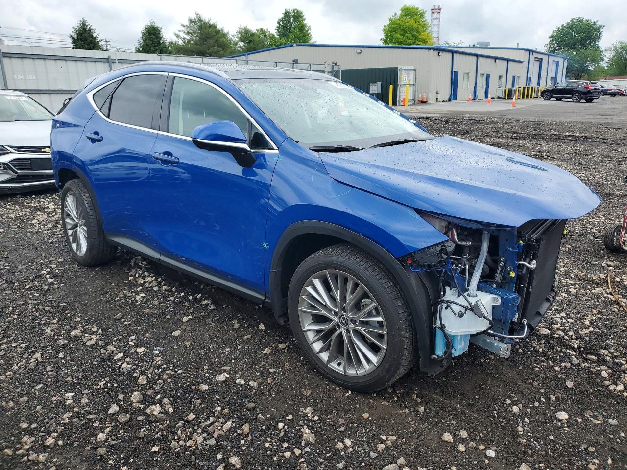 Lexus NX 350 Luxury