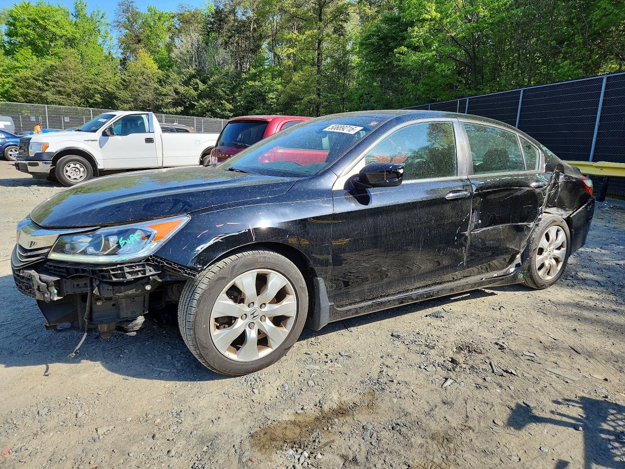 Salvage Honda Accord Image