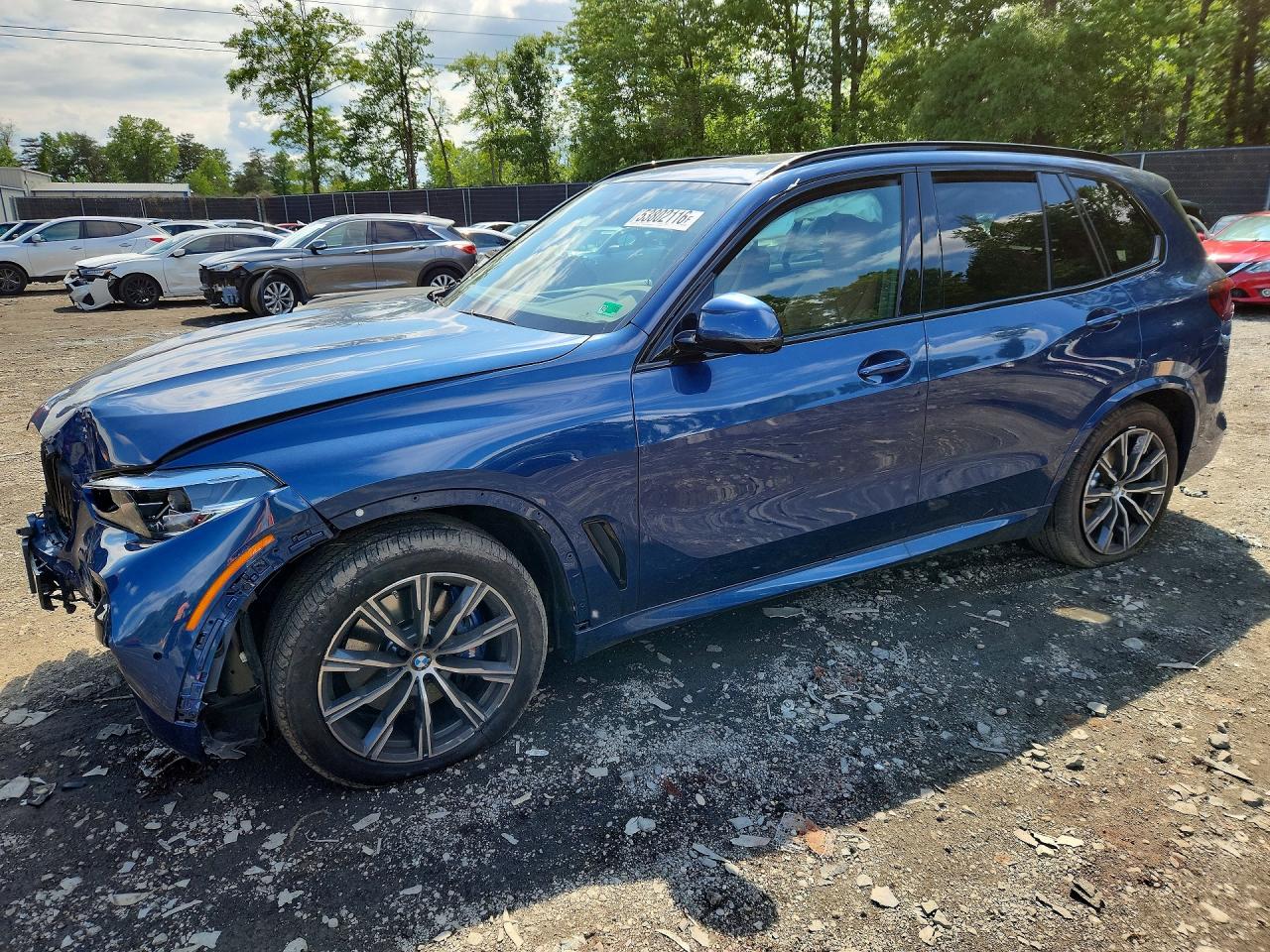 Salvage BMW X Series Image
