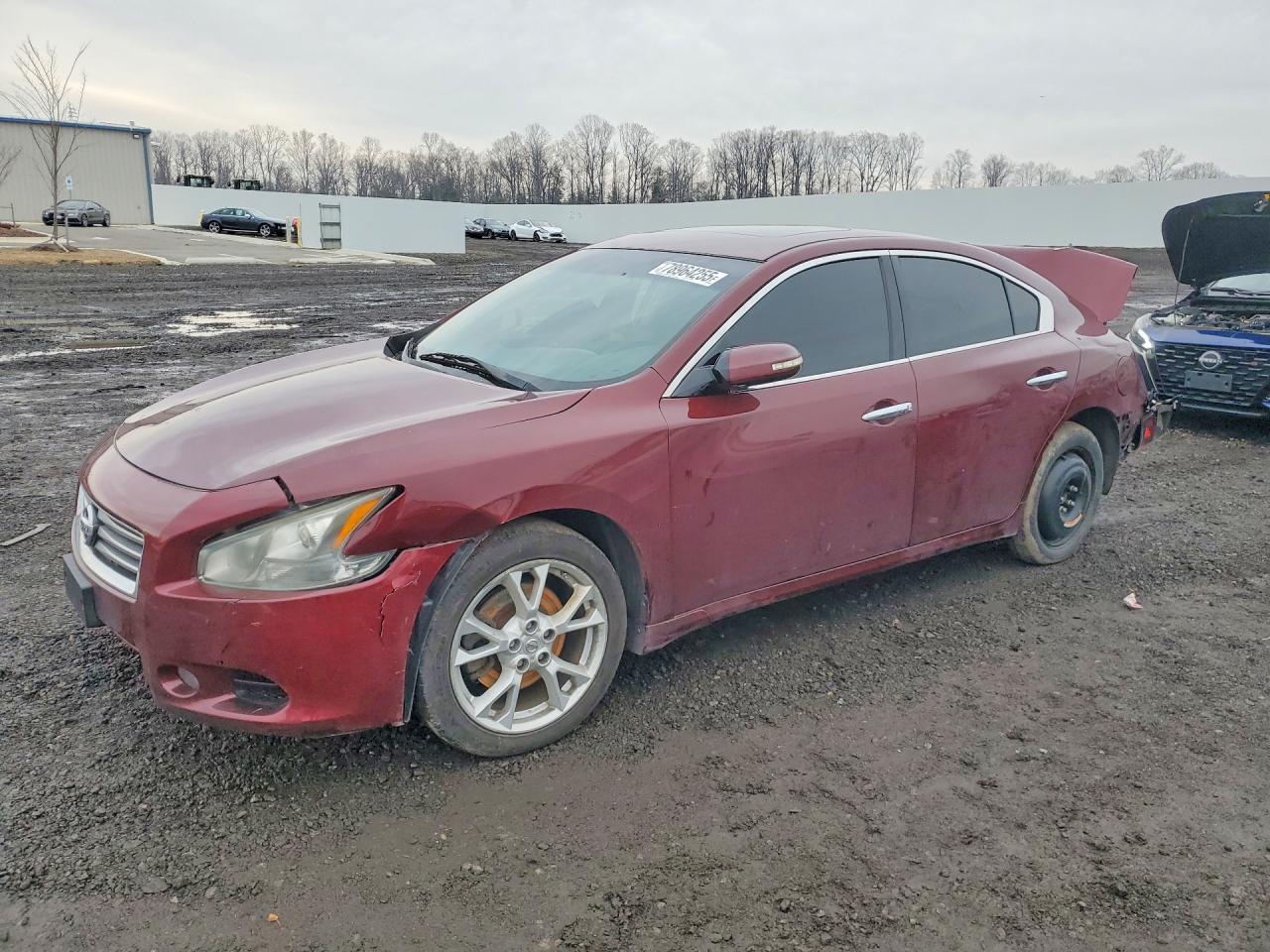 Salvage Nissan Maxima Image
