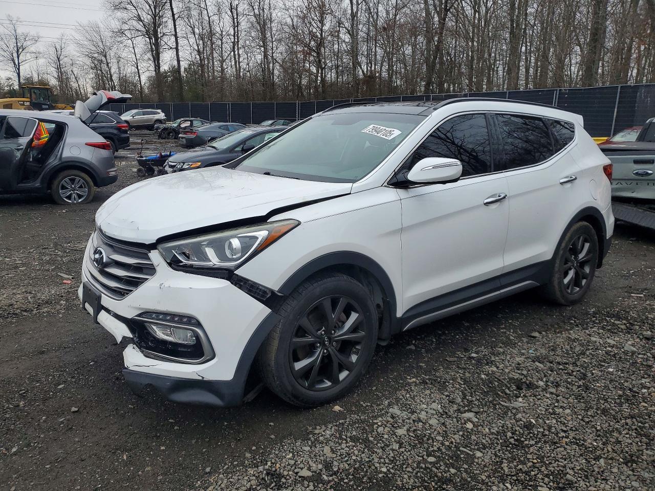 Salvage Hyundai SANTA FE Image