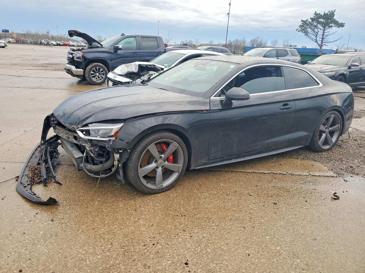 Salvage Audi S5 Image