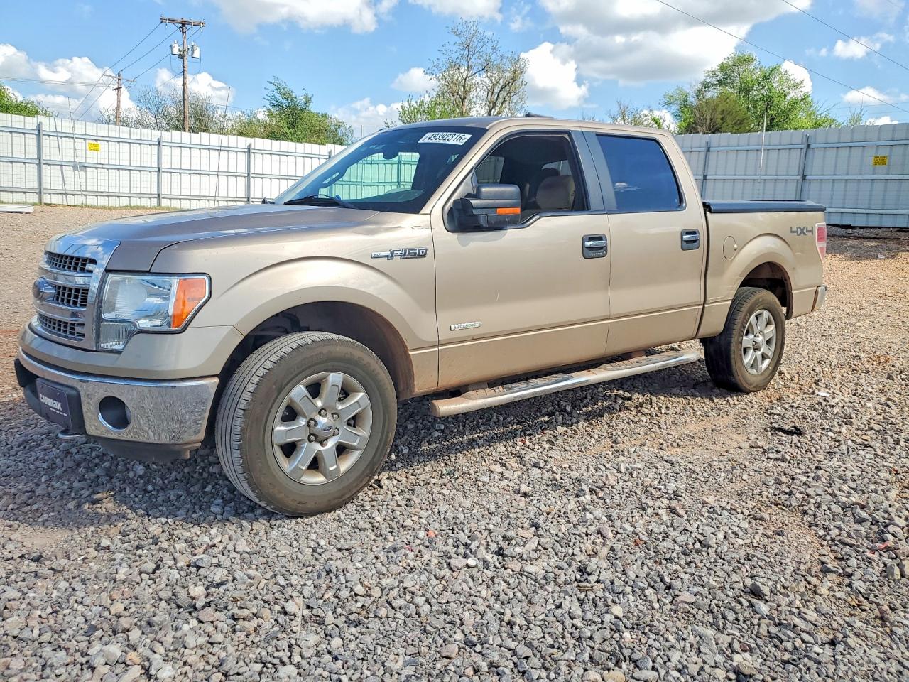 Salvage Ford F-150 Image