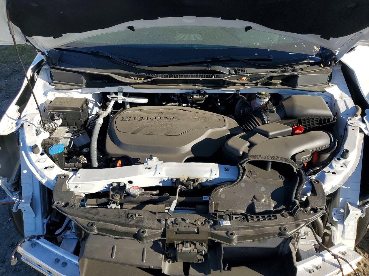 Honda Odyssey Elite