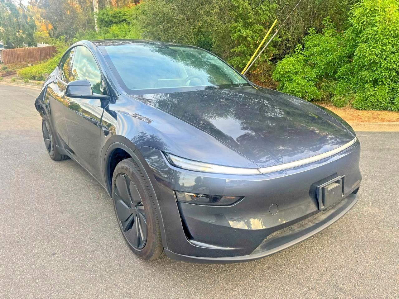 Salvage Tesla Model Y Image
