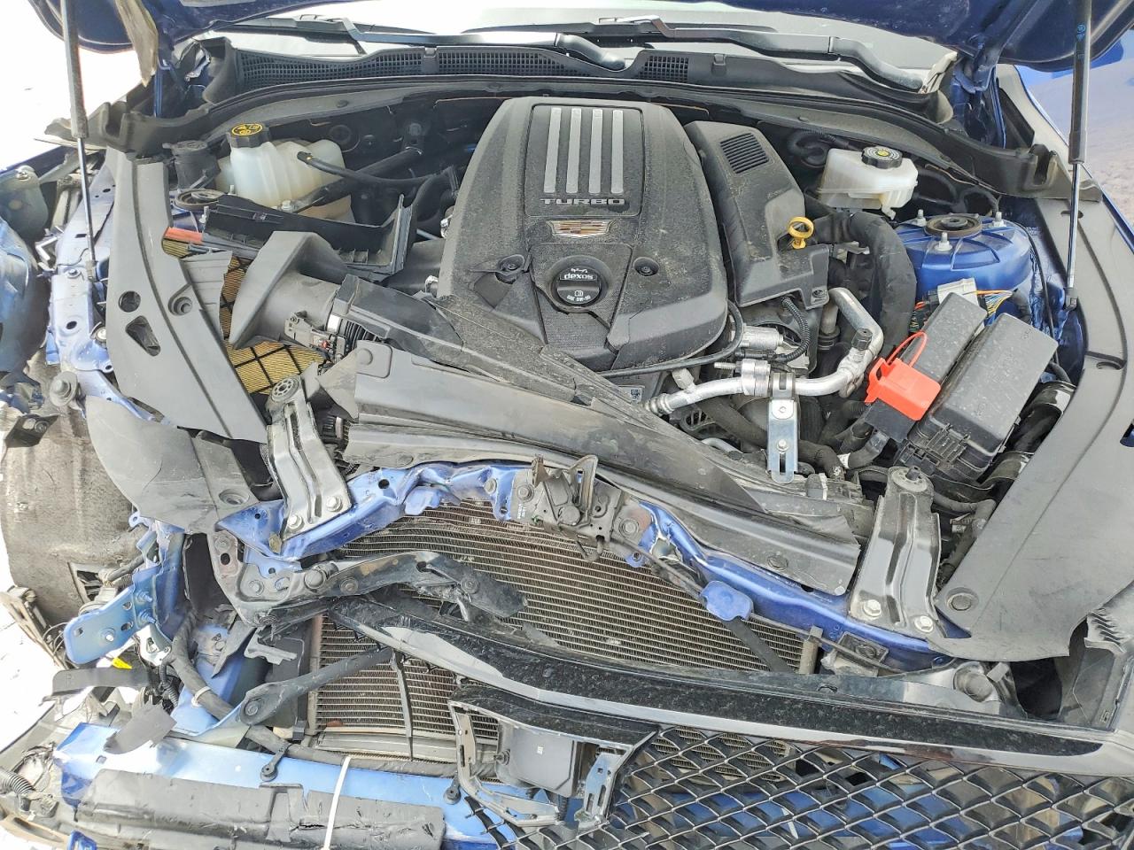 Cadillac Other Blackwing