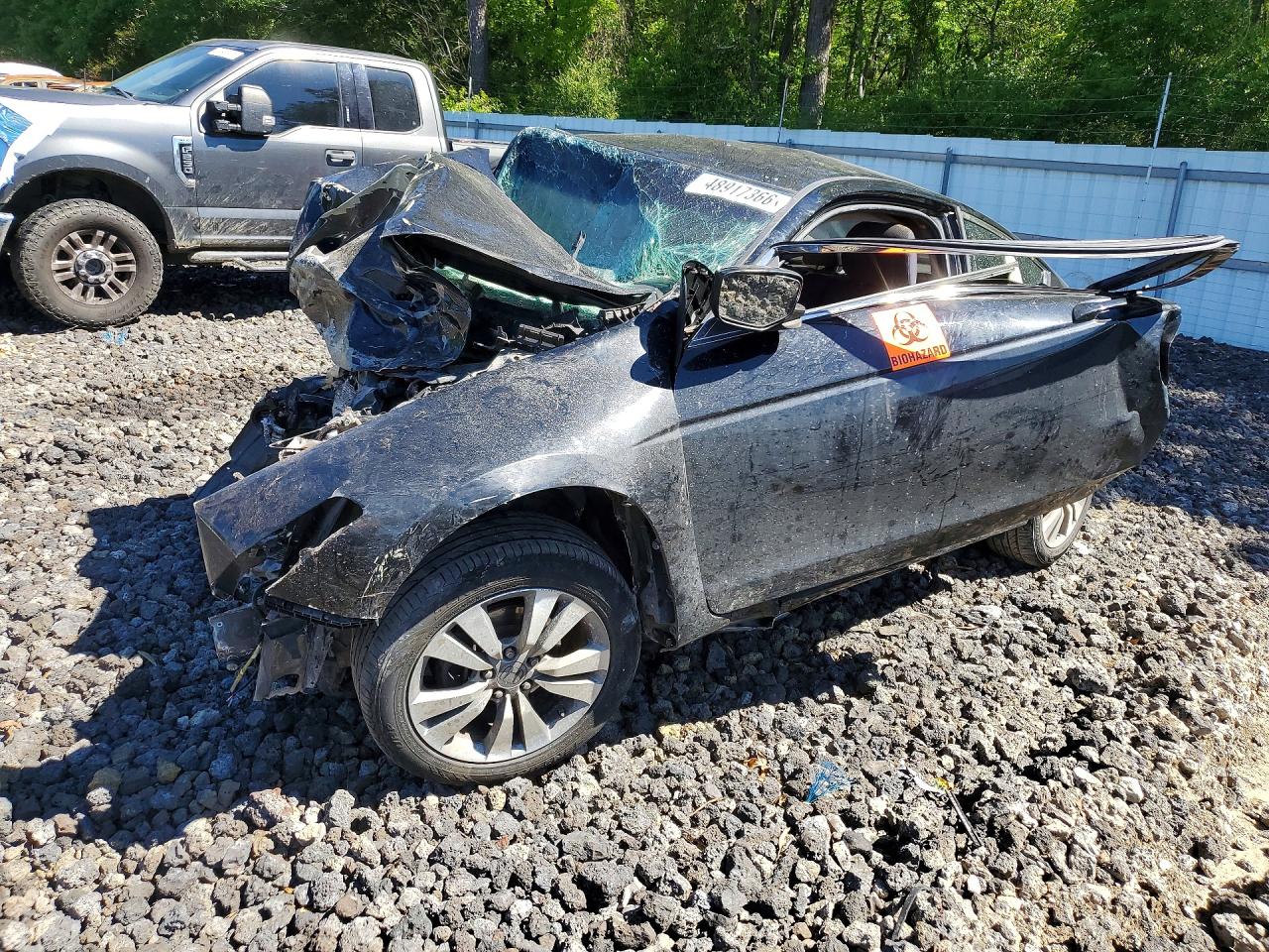 Salvage Honda Accord Image