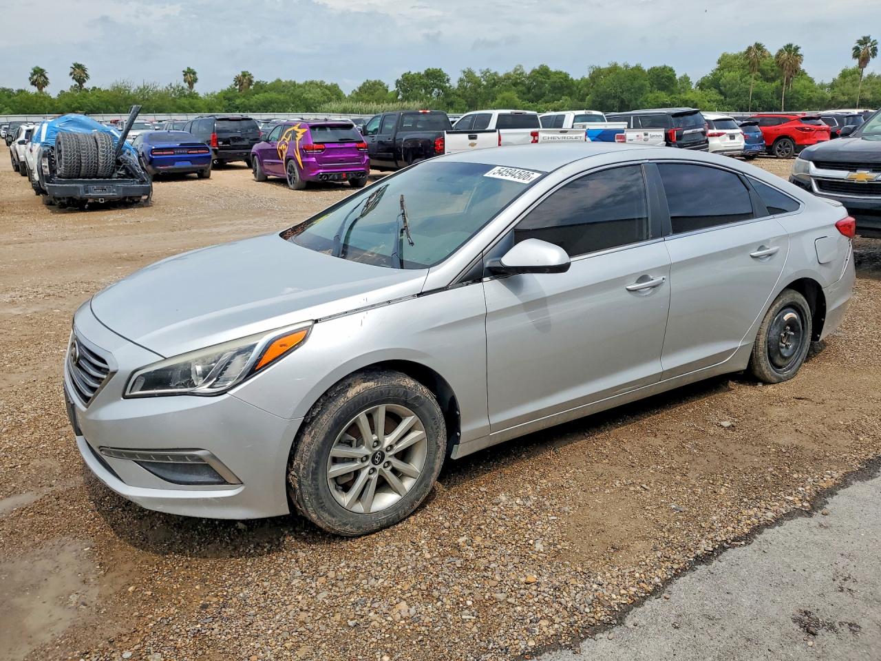 Salvage Hyundai SONATA Image