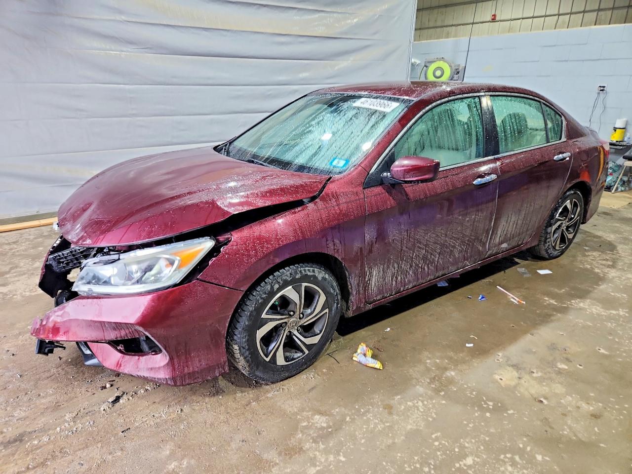 Salvage Honda Accord Image