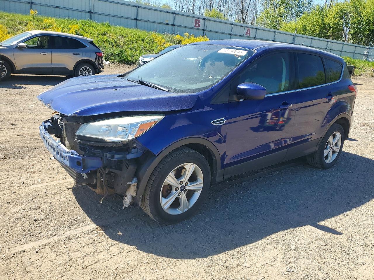 Salvage Ford Escape Image