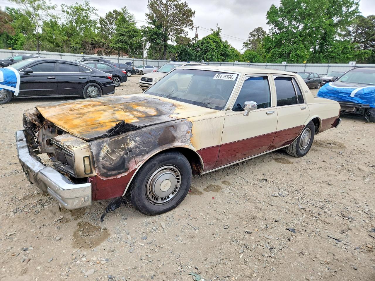 Salvage Chevrolet Impala Image