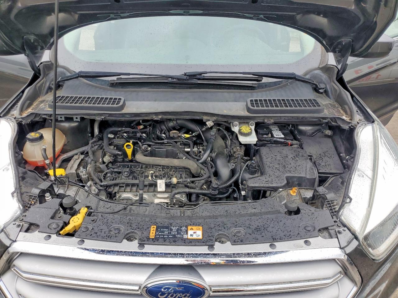 Ford Escape Se