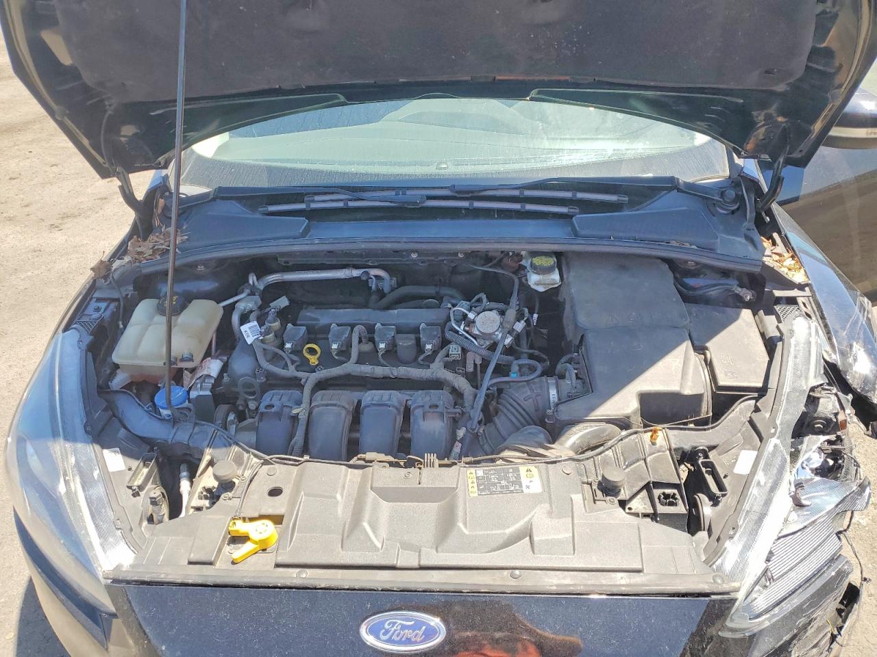 Ford Focus Sel