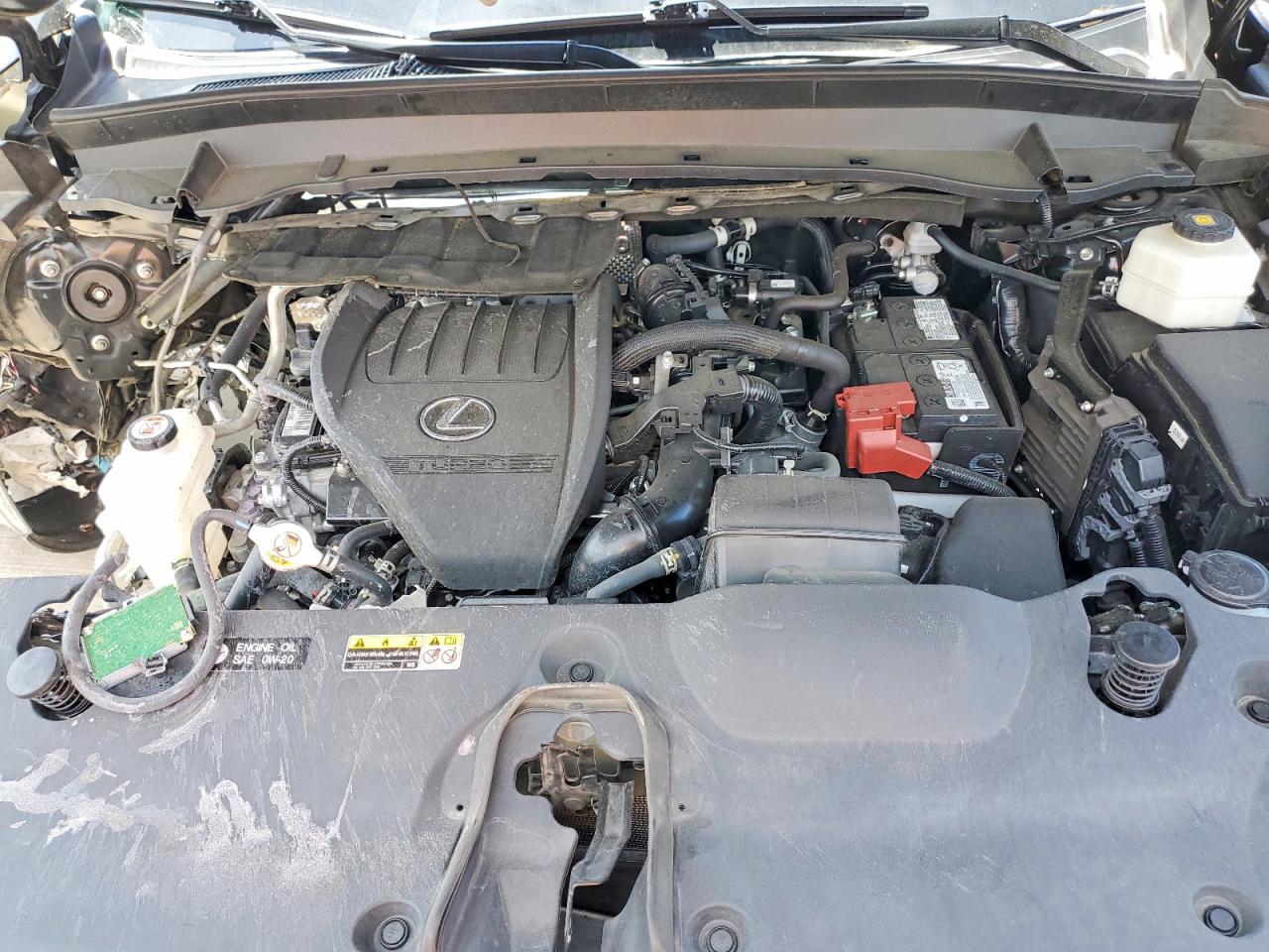 Lexus Other Premium
