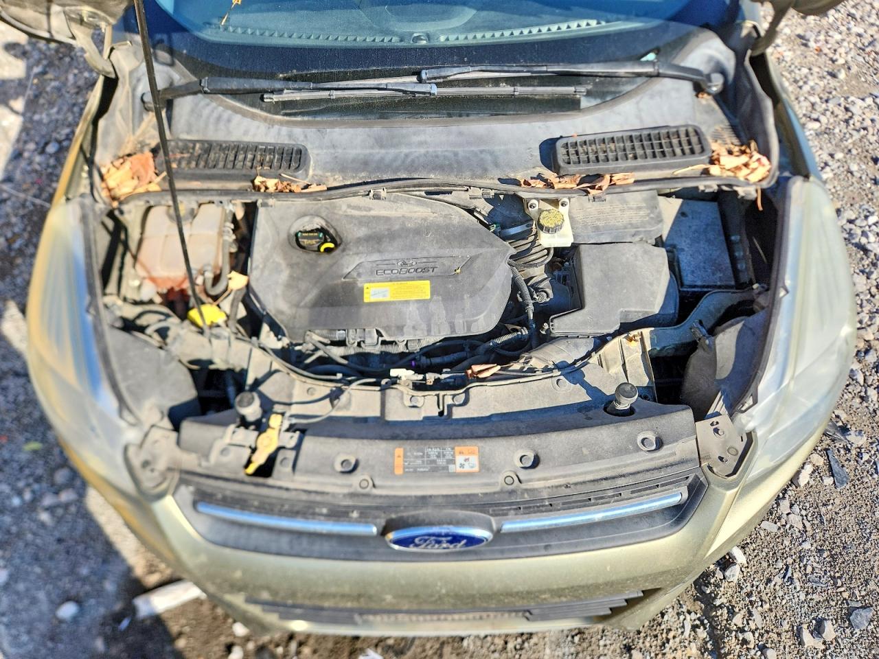 Ford Escape Se