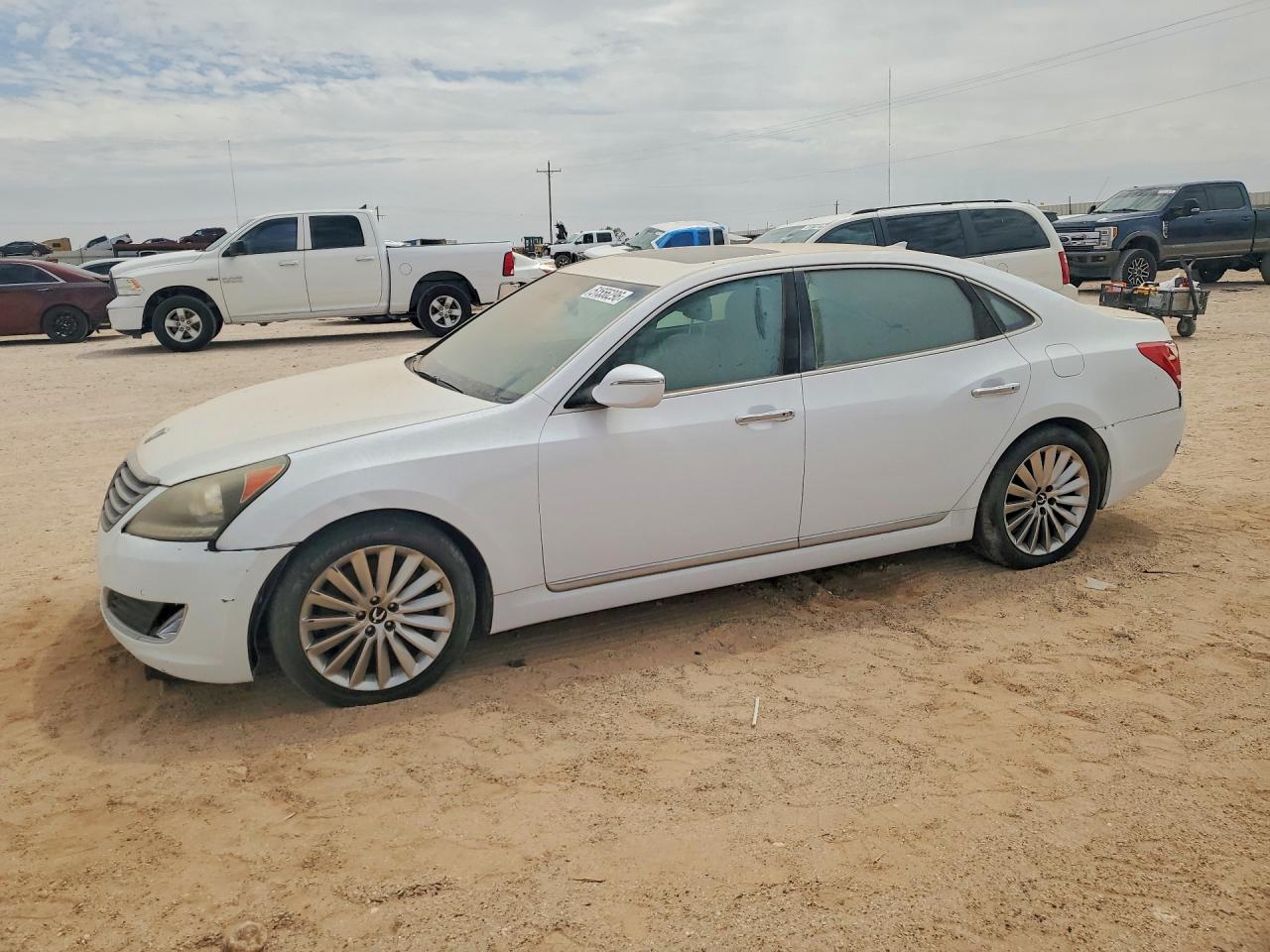 Salvage Hyundai Equus Image