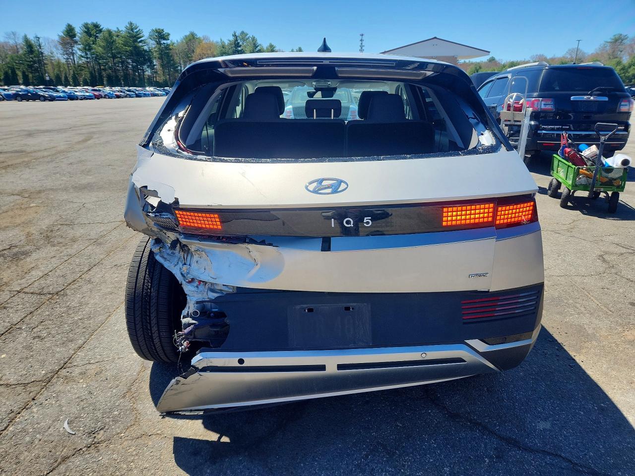 Hyundai Ioniq Sel