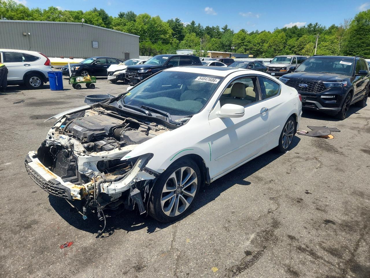 Salvage Honda Accord Image