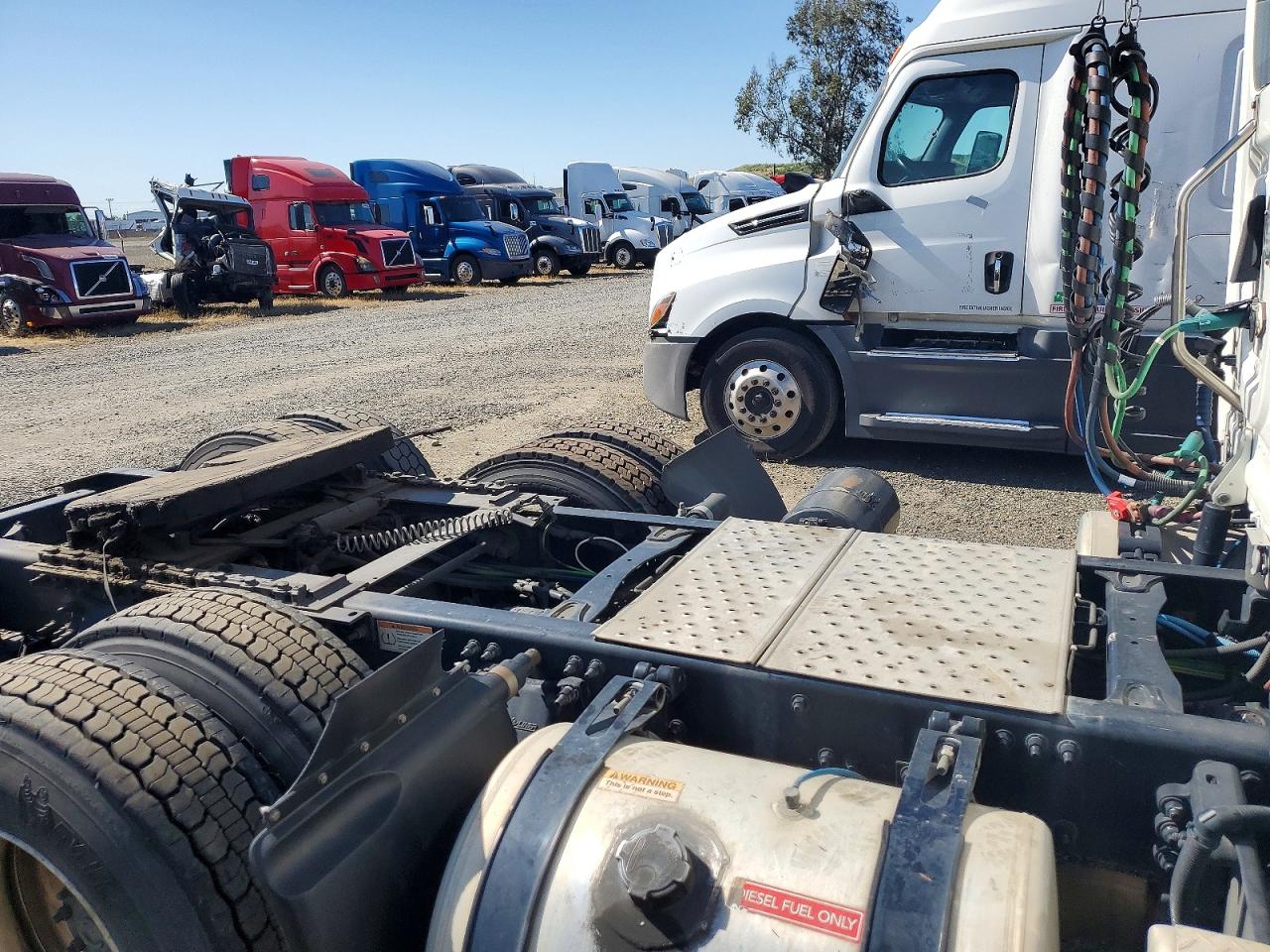 Freightliner Cascadia 113