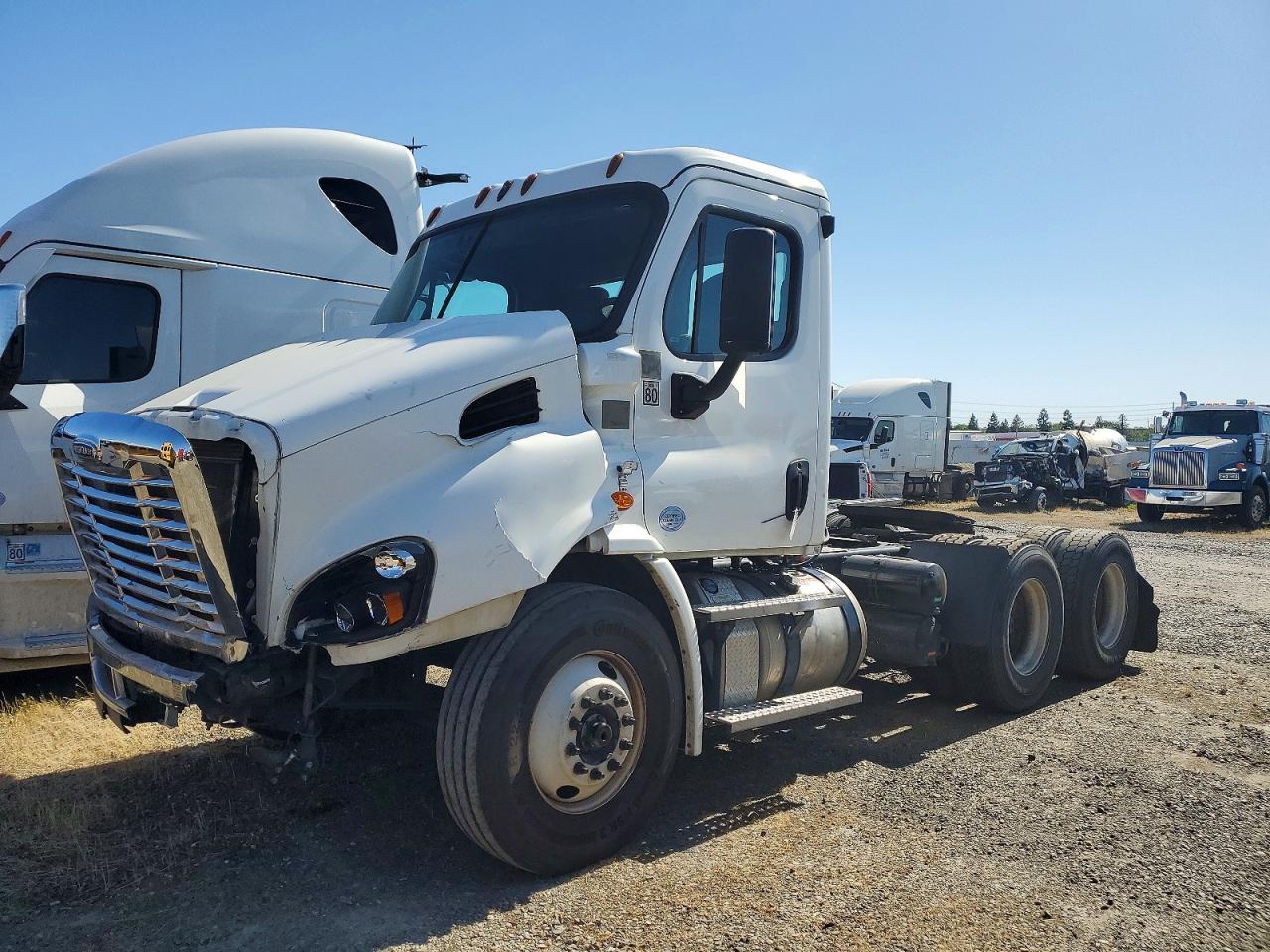 Freightliner Cascadia 113