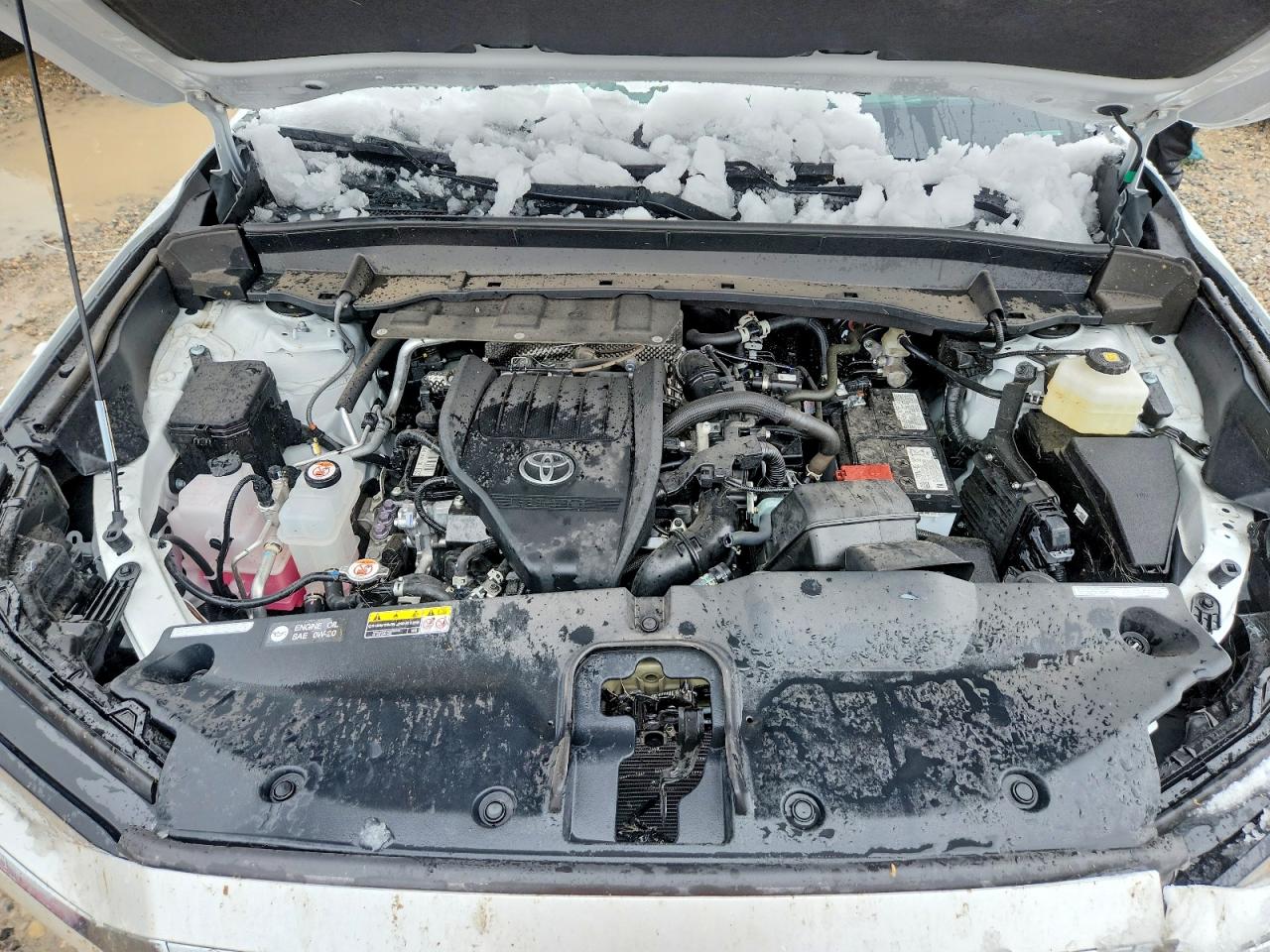 Toyota Grand High Platinum
