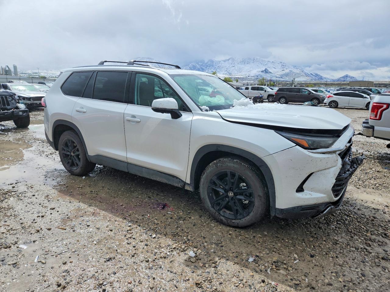 Toyota Grand High Platinum