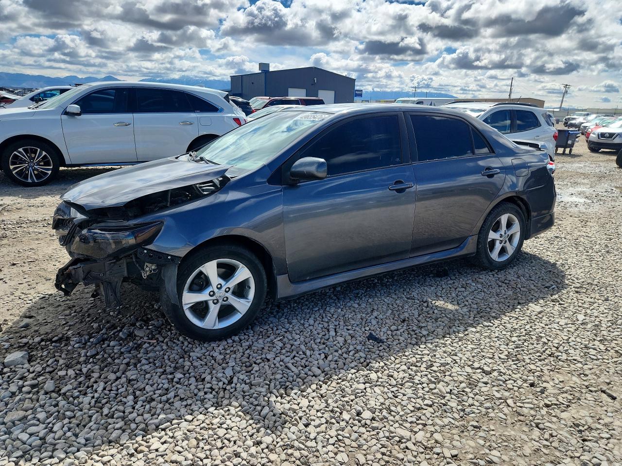 Salvage Toyota Corolla Image