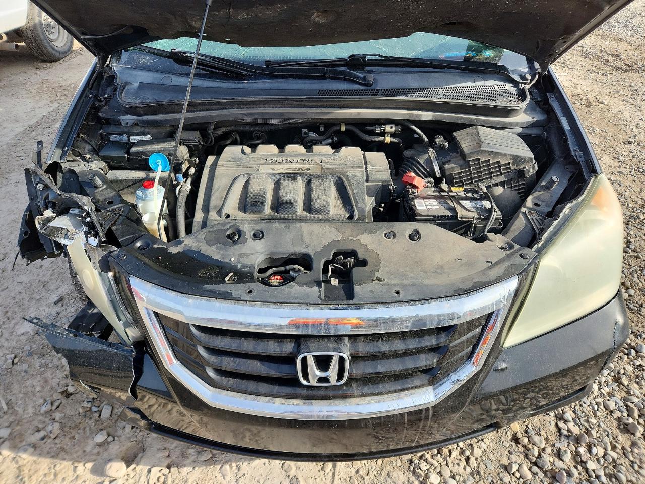 Honda Odyssey Exl