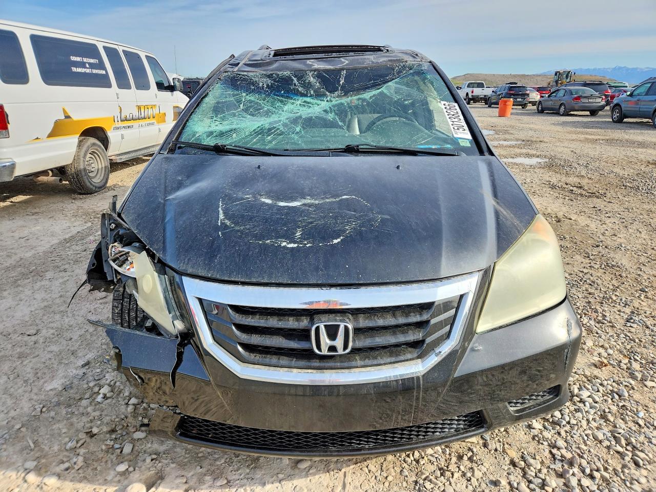 Honda Odyssey Exl