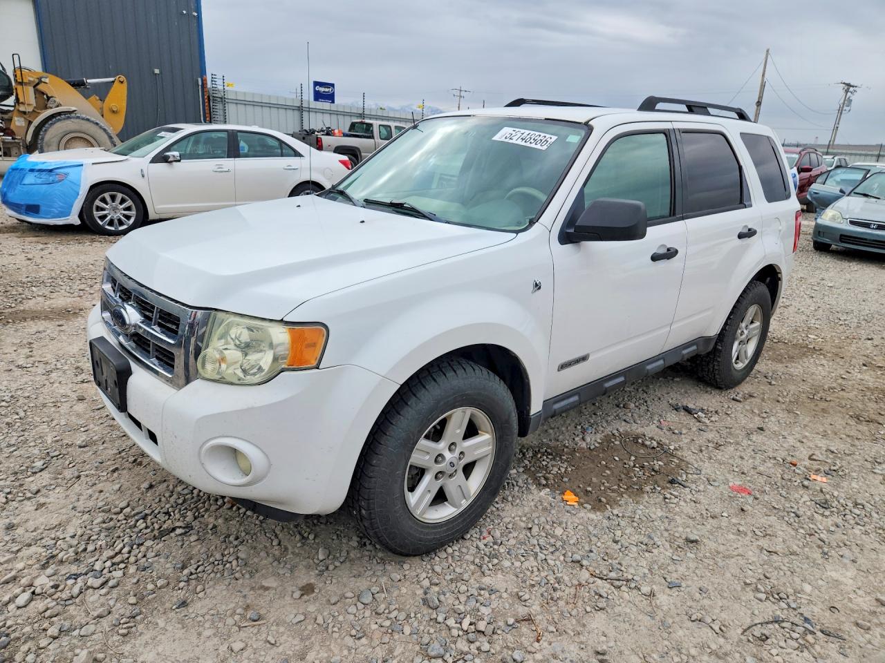 Salvage Ford Escape Image