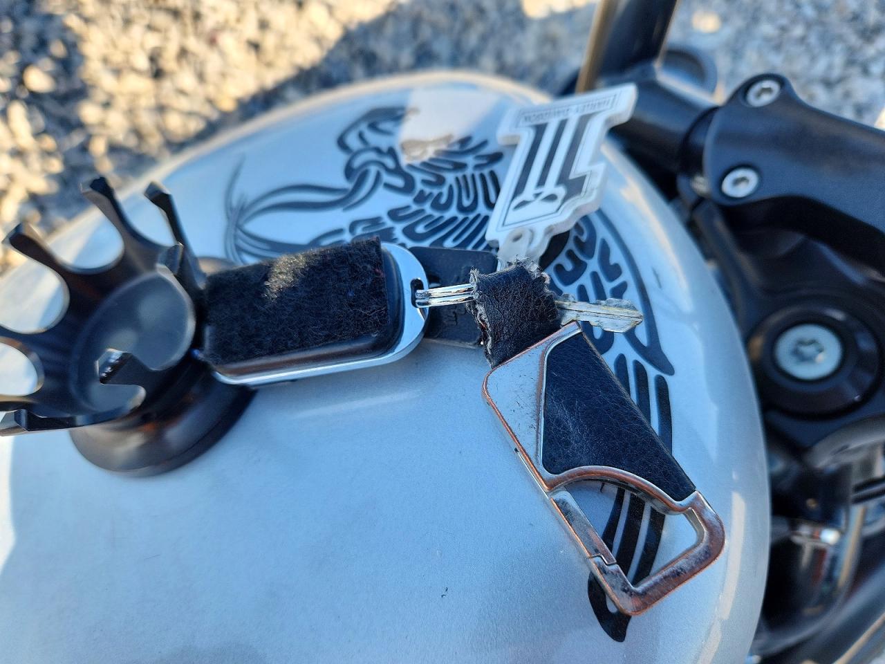 Harley-Davidson Sprtstr120 Ns