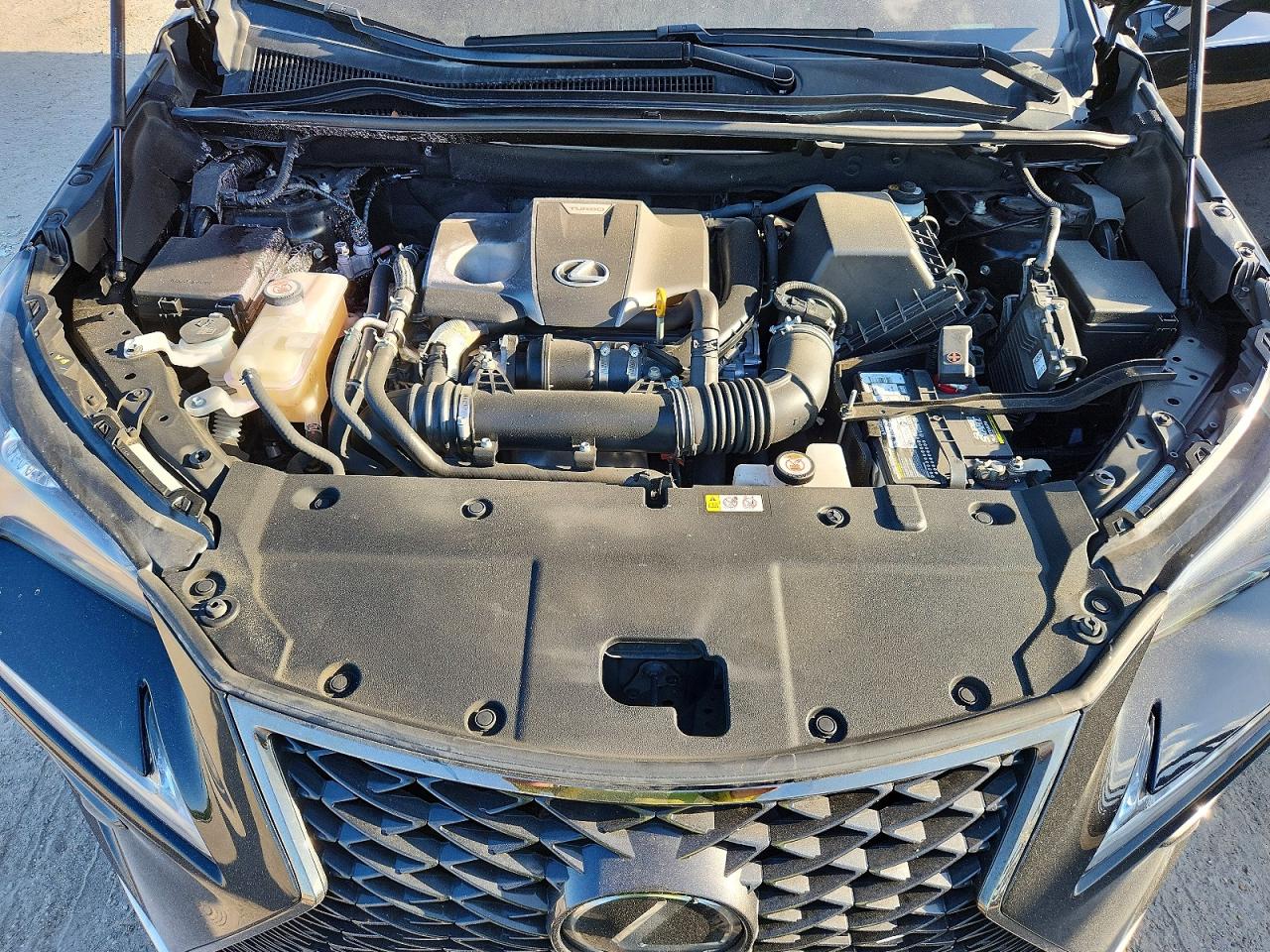 Lexus NX F Sport