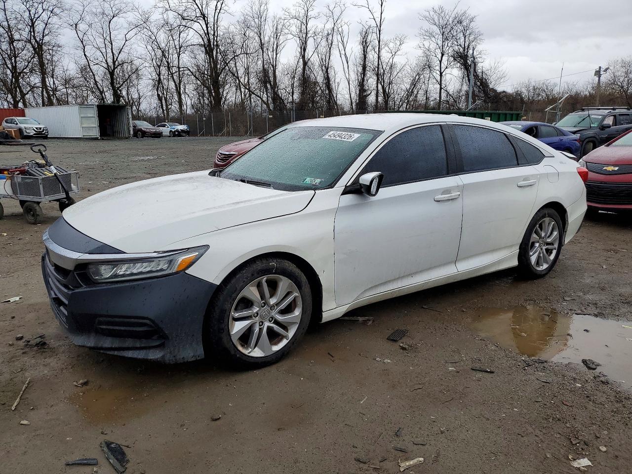 Salvage Honda Accord Image