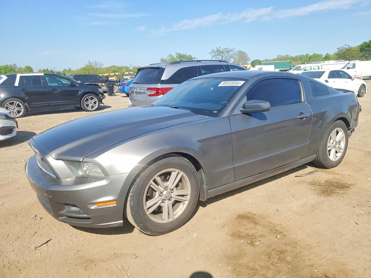 Salvage Ford Mustang Image