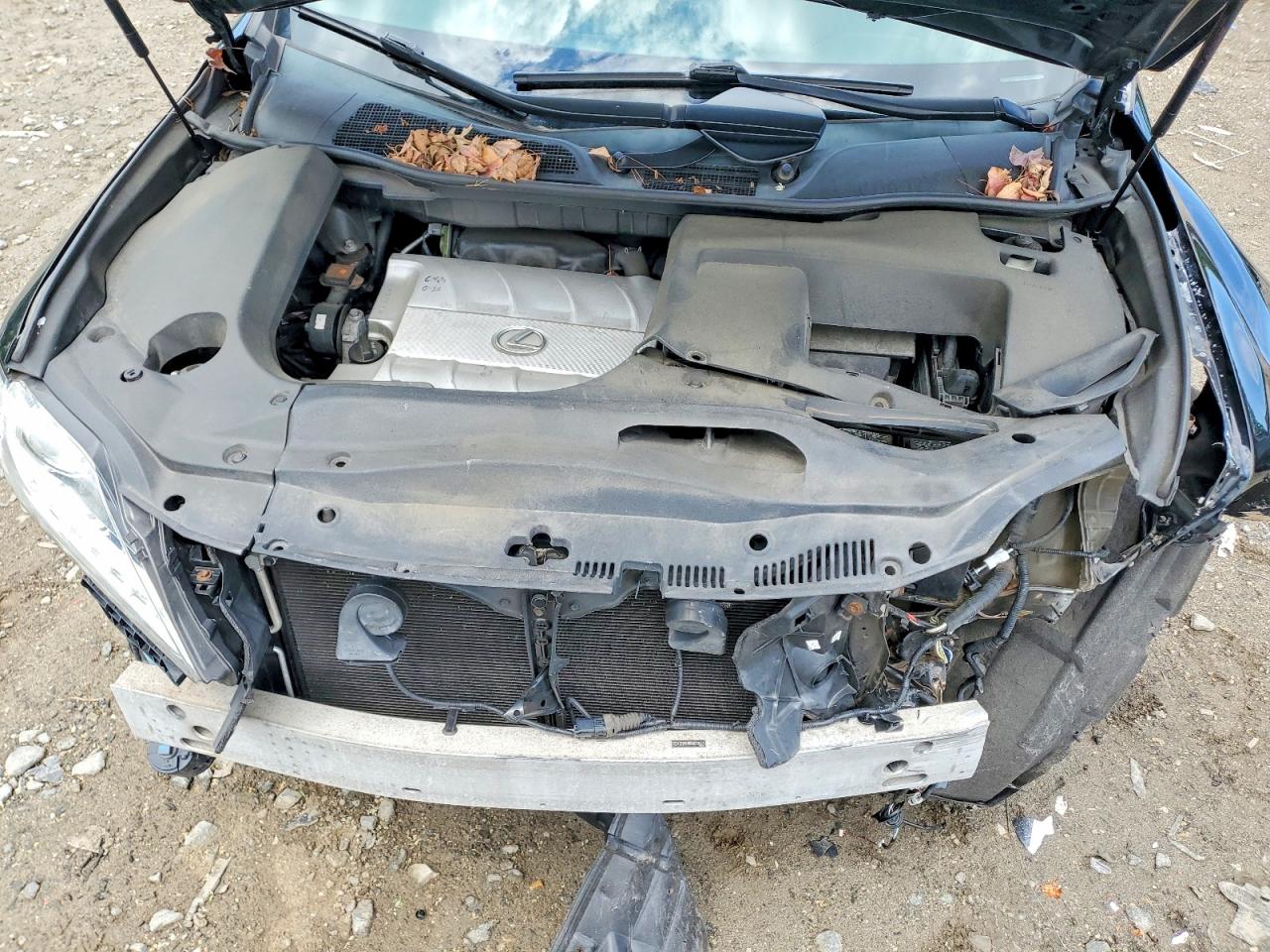 Lexus RX Base