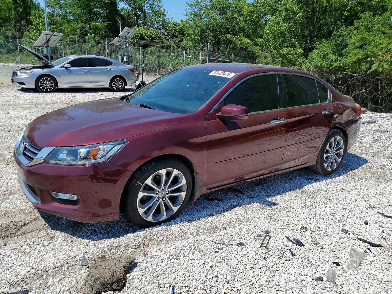 Salvage Honda Accord Image