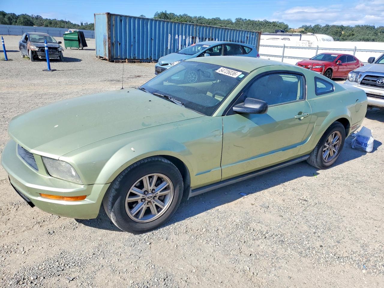 Salvage Ford Mustang Image
