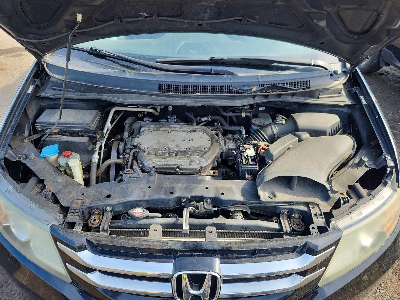 Honda Odyssey Exl
