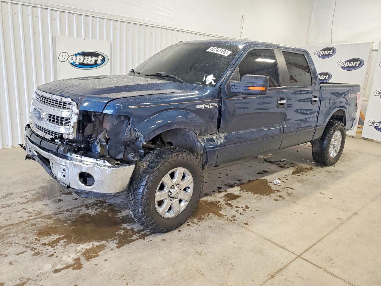Salvage Ford F-150 Image