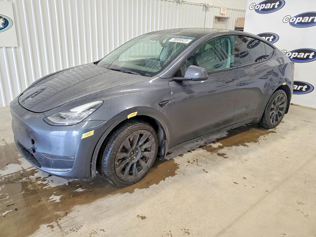 Salvage Tesla Model Y Image