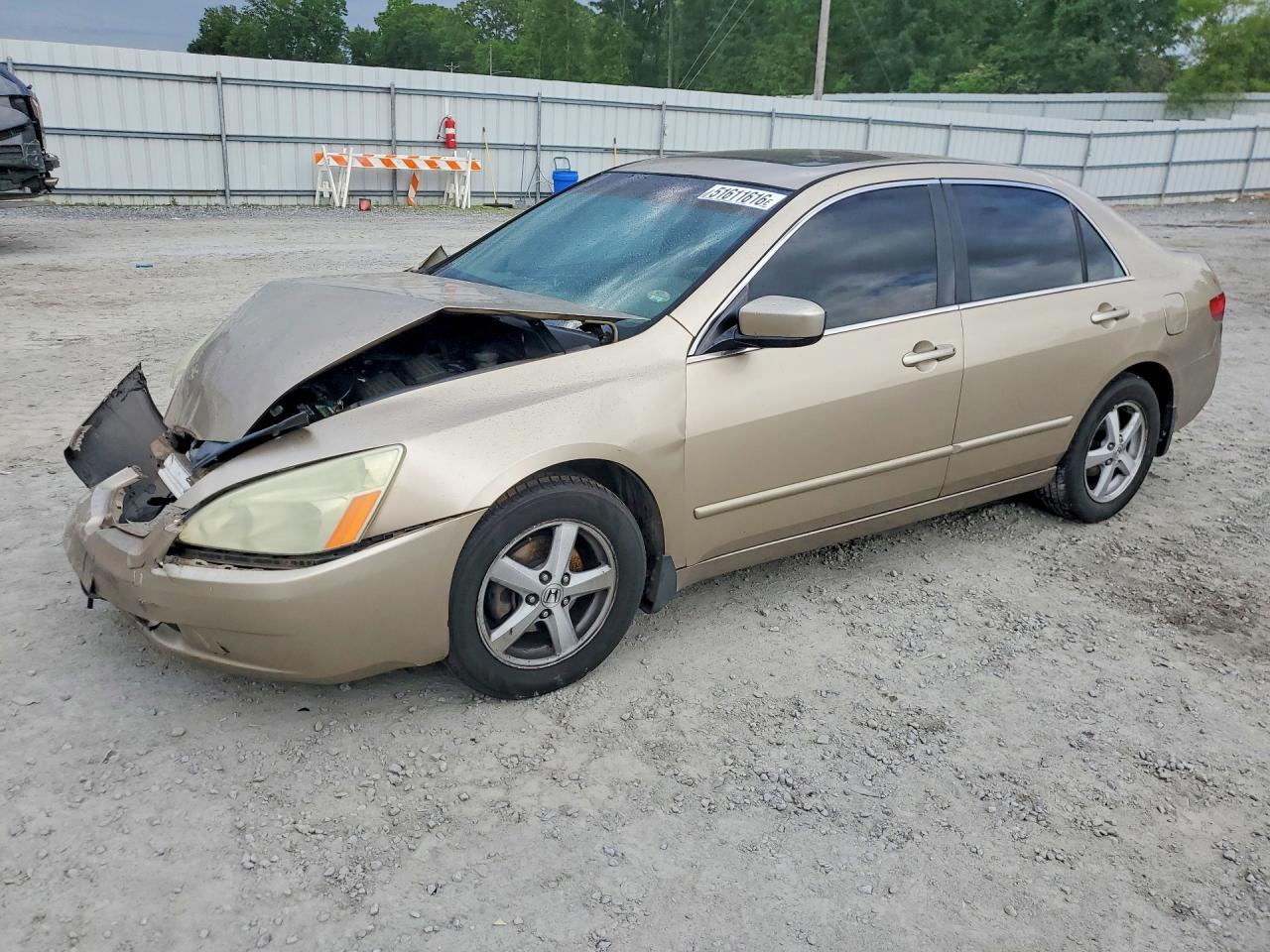 Salvage Honda Accord Image