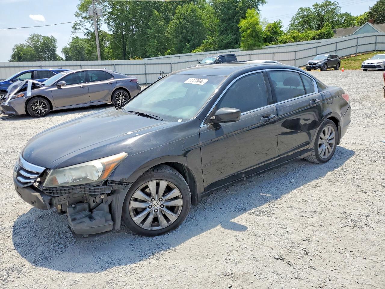 Salvage Honda Accord Image